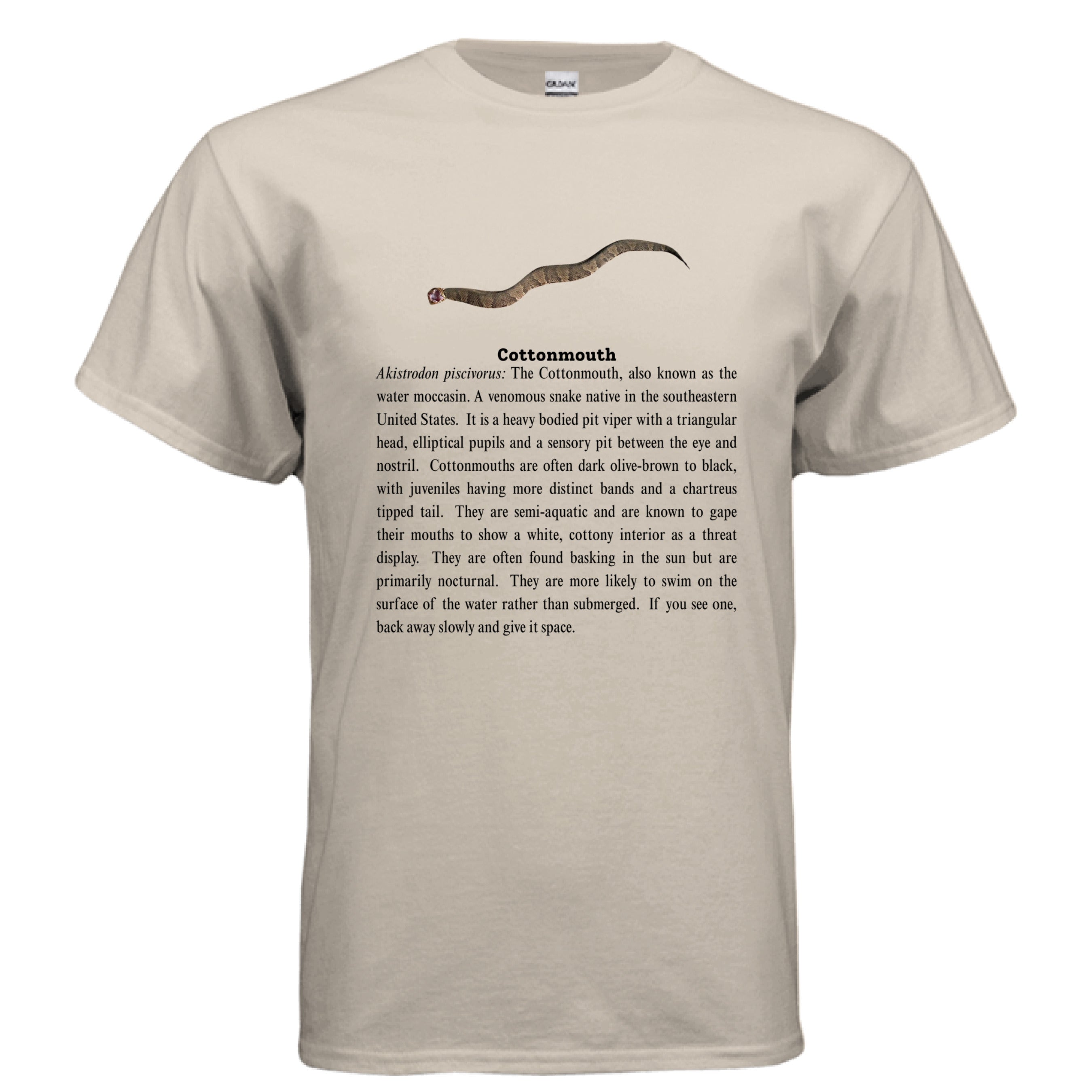 SAND - FRONT