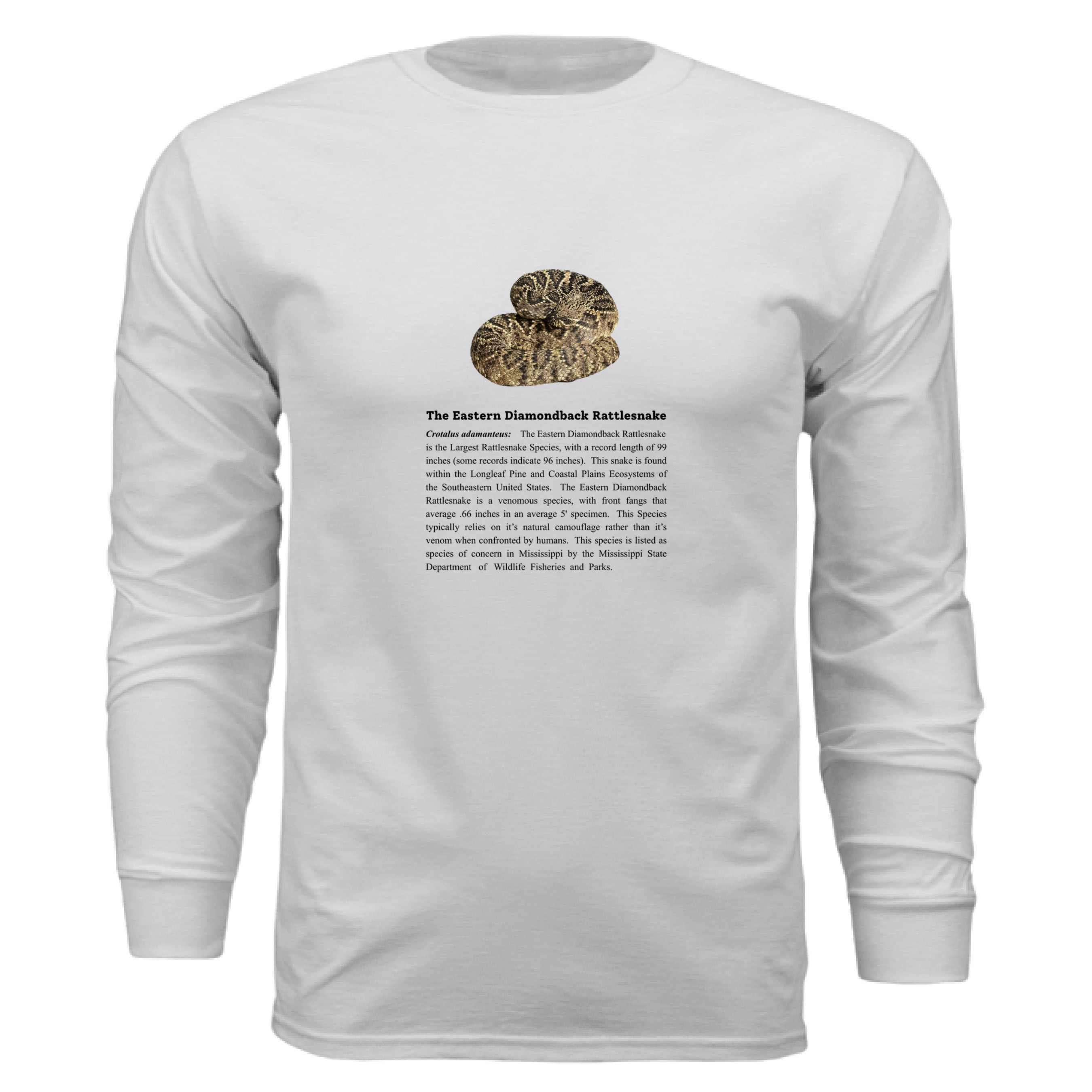 ASH GREY - FRONT